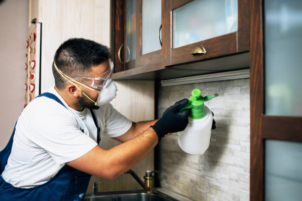Best Mosquito Control Services  in Jewett City, CT