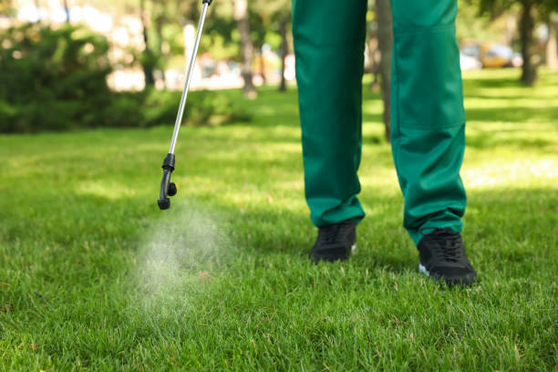 Best Wildlife Control Services  in Jewett City, CT