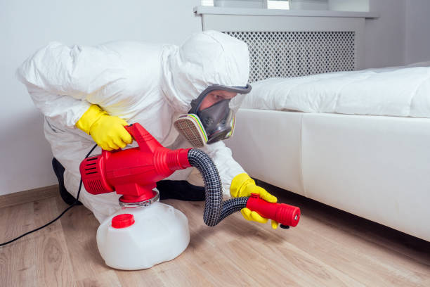 Best Flea Control Services  in Jewett City, CT