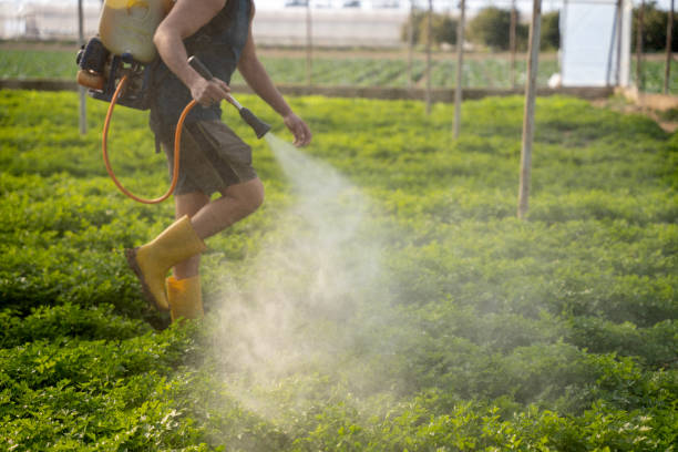 Best Best Pest Control Companies  in Jewett City, CT