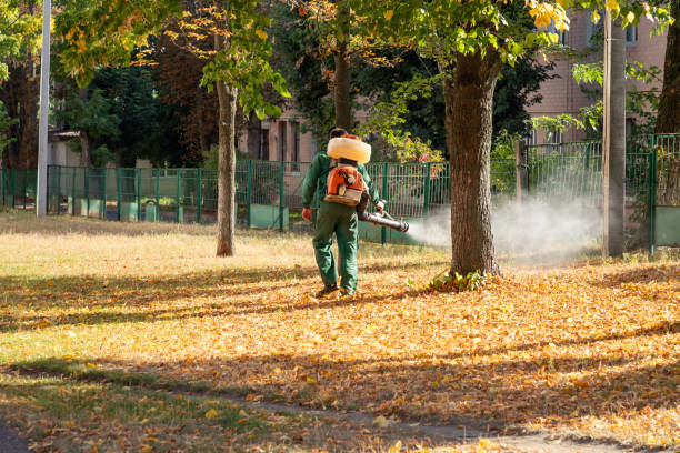Best Wasp Removal Services  in Jewett City, CT